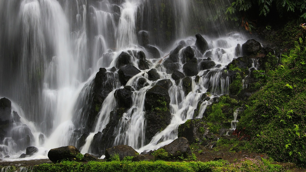 Dudhsagar Waterfall Trek: A Mesmerizing Adventure in Nature